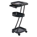 Dina Meri Salon Color Trays and Utility Carts